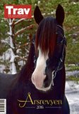 Årsrevyen 2016